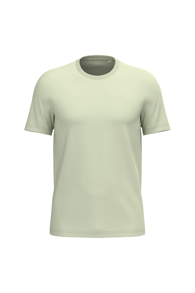 PS_NS300_CELADONGREEN.webp