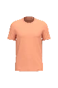 PS_NS300_APRICOT.webp