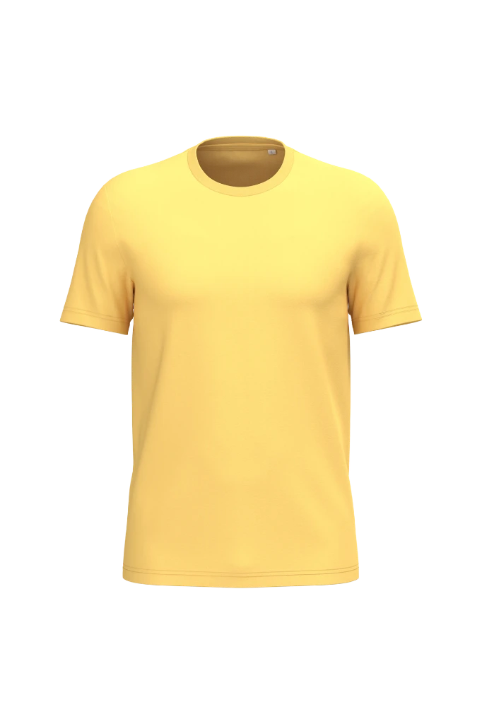 PS_NS300_PINEAPPLE.webp