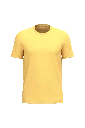 PS_NS300_PINEAPPLE.webp
