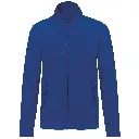 PS_K907_ROYALBLUE.webp