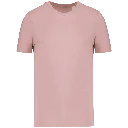 PS_NS300_PETALROSE.webp