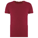 PS_NS307-2_HIBISCUSRED.webp