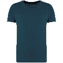 PS_NS307_PEACOCKBLUE.webp