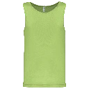 PS_PA441_LIME.webp