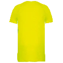 PS_PA445-B_FLUORESCENTYELLOW.webp