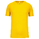 PS_PA445_TRUEYELLOW.webp