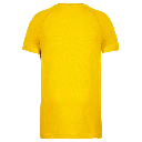 PS_PA445-B_TRUEYELLOW.webp