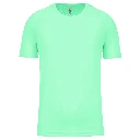 HD_PS_PA438_ICEMINT.webp