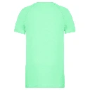 HD_PS_PA438-B_ICEMINT.webp