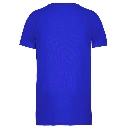 HD_PS_PA438-B_VIOLET.webp