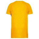 HD_PS_PA438-B_TRUEYELLOW.webp