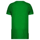 HD_PS_PA438-B_KELLYGREEN.webp