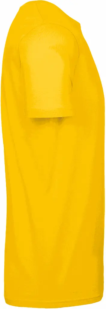 PS_CGTU03T-S_GOLD.webp