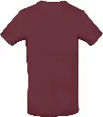 PS_CGTU03T-B_BURGUNDY.webp