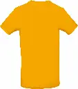 PS_CGTU03T-B_APRICOT.webp