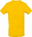 PS_CGTU03T-B_GOLD.webp