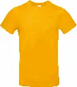 PS_CGTU03T_APRICOT.webp