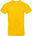 PS_CGTU03T_GOLD.webp
