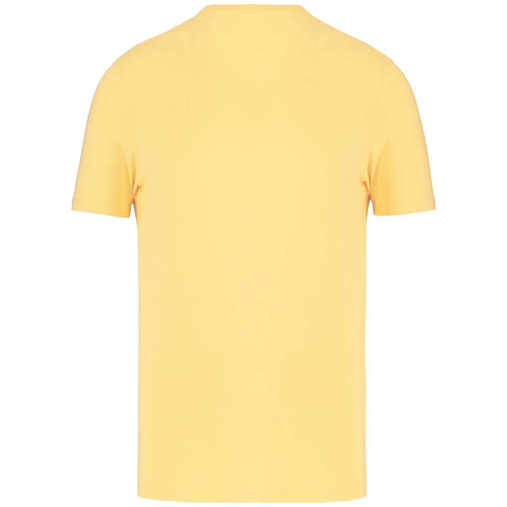 PS_NS300-B_PINEAPPLE.jpg
