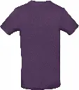PS_CGTU03T-B_URBANPURPLE.webp