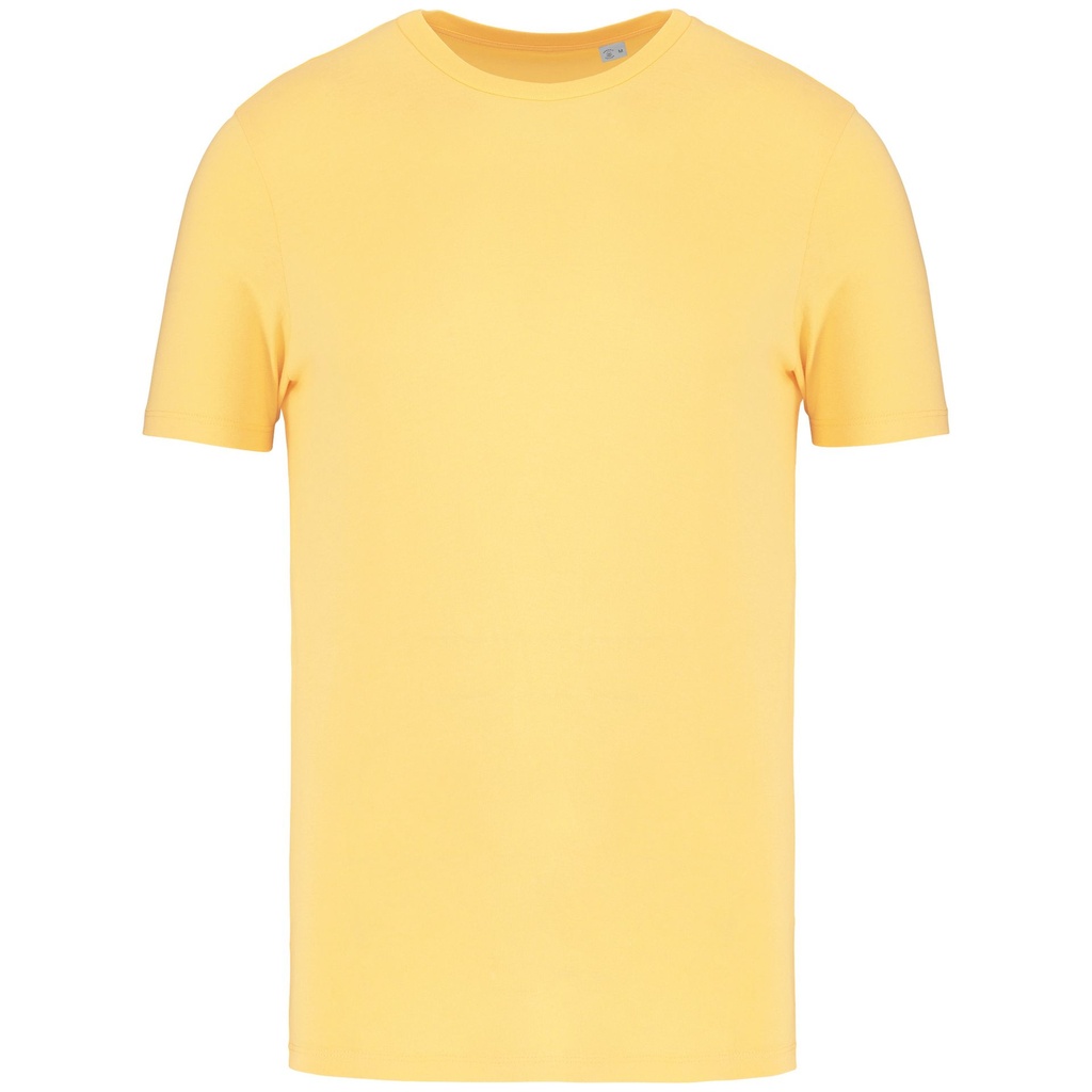 PS_NS300_PINEAPPLE.jpg