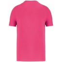PS_NS300-B-3_RASPBERRYSORBET.jpg